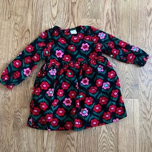 Hanna Andersson winter/fall floral print dress size 4